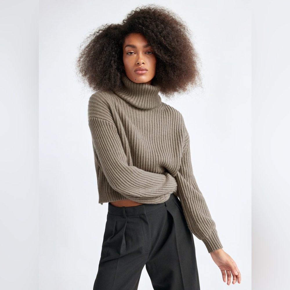 Aritzia Guell Sweater